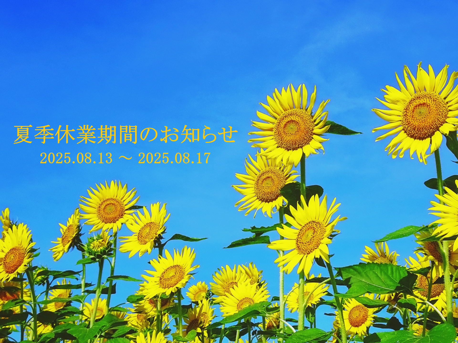 2025年度 夏季休暇のお知らせ（8/13～8/17）